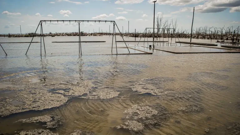 Flood and Stormwater Management in Urban Argentina Using Innovative Pumping and Drainage Strategies