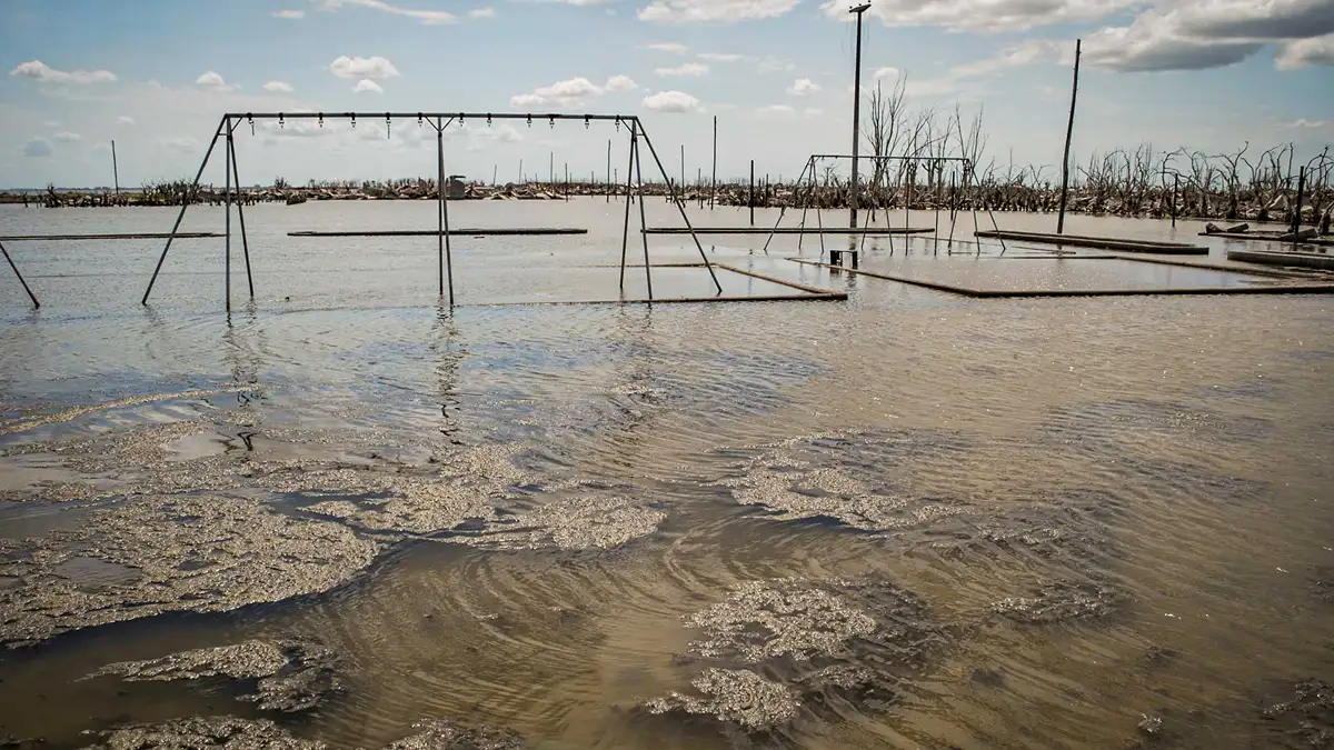 Flood and Stormwater Management in Urban Argentina Using Innovative Pumping and Drainage Strategies